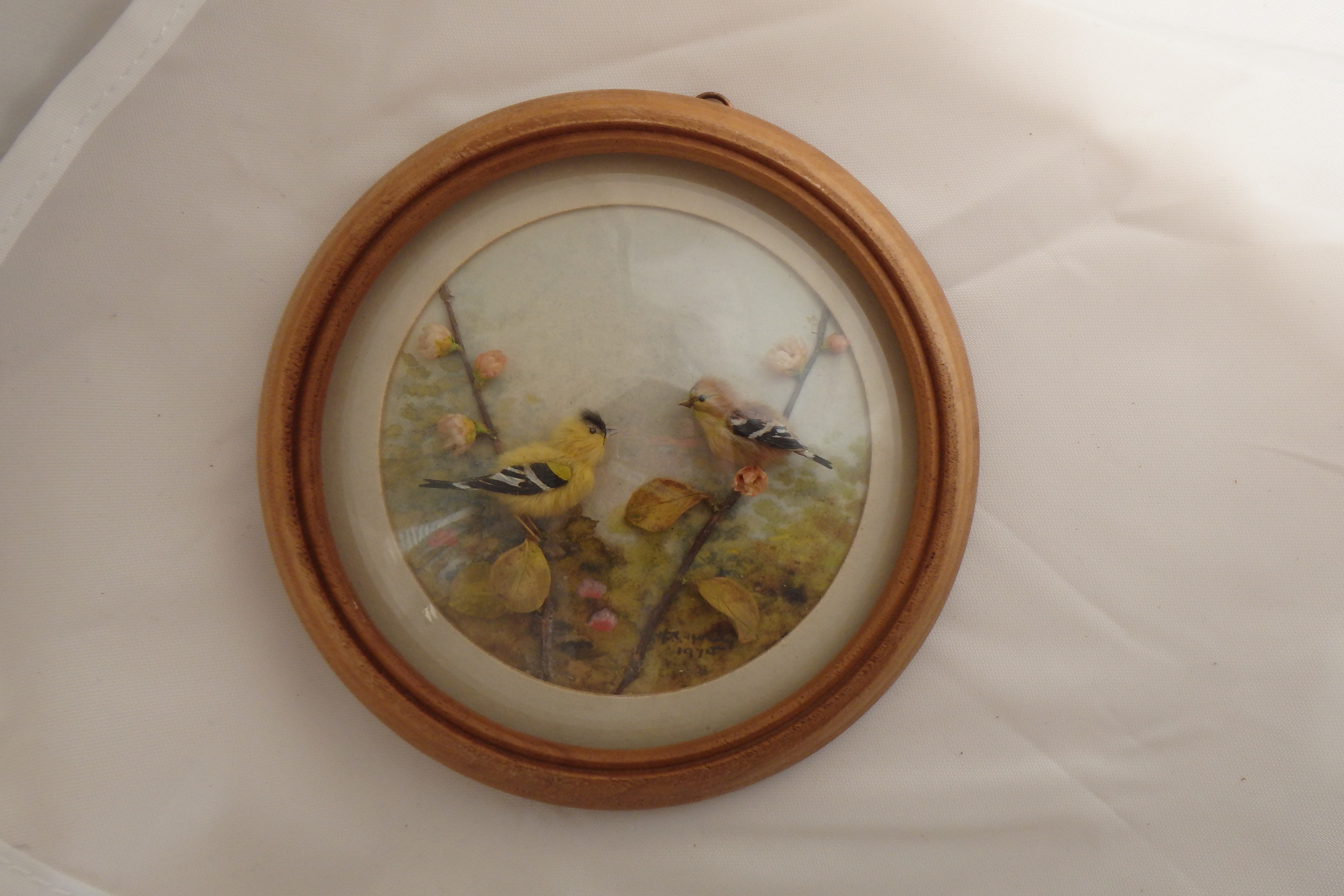 Common Goldfinch and Young (5-inch)